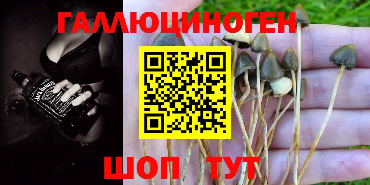 Урус-Мартан  Галлюциногенные грибы Magic Shrooms  Вход с VPN 